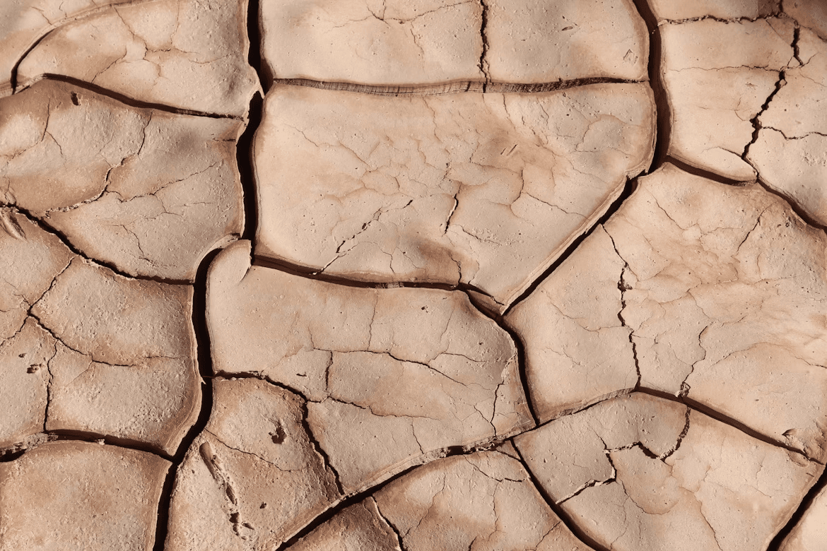 A dry, cracked patch of dirt.